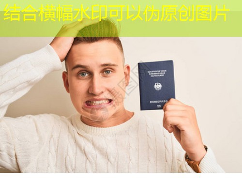 南京移民中介服务：六朝古都里的全球通行证